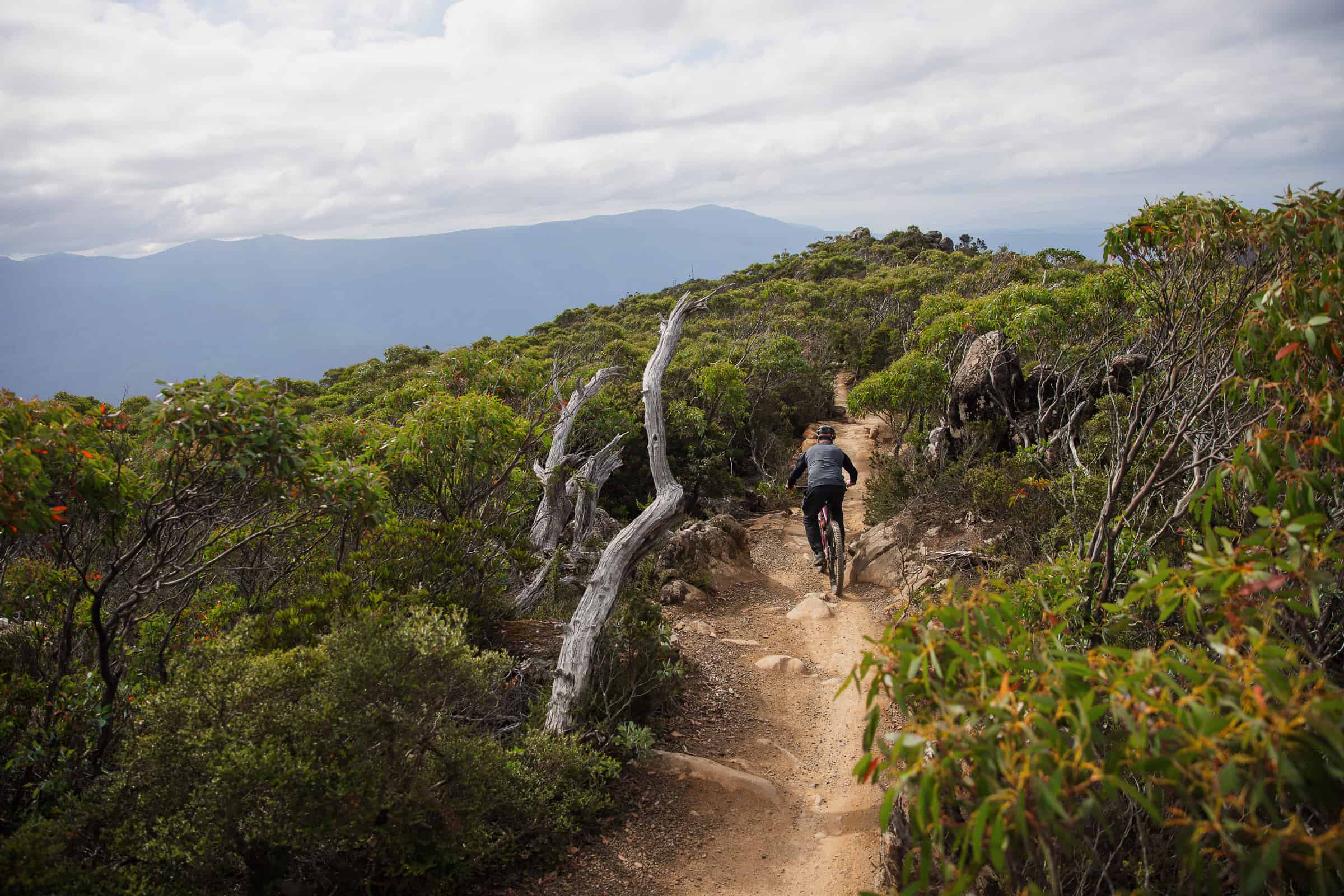 MTB World Series
