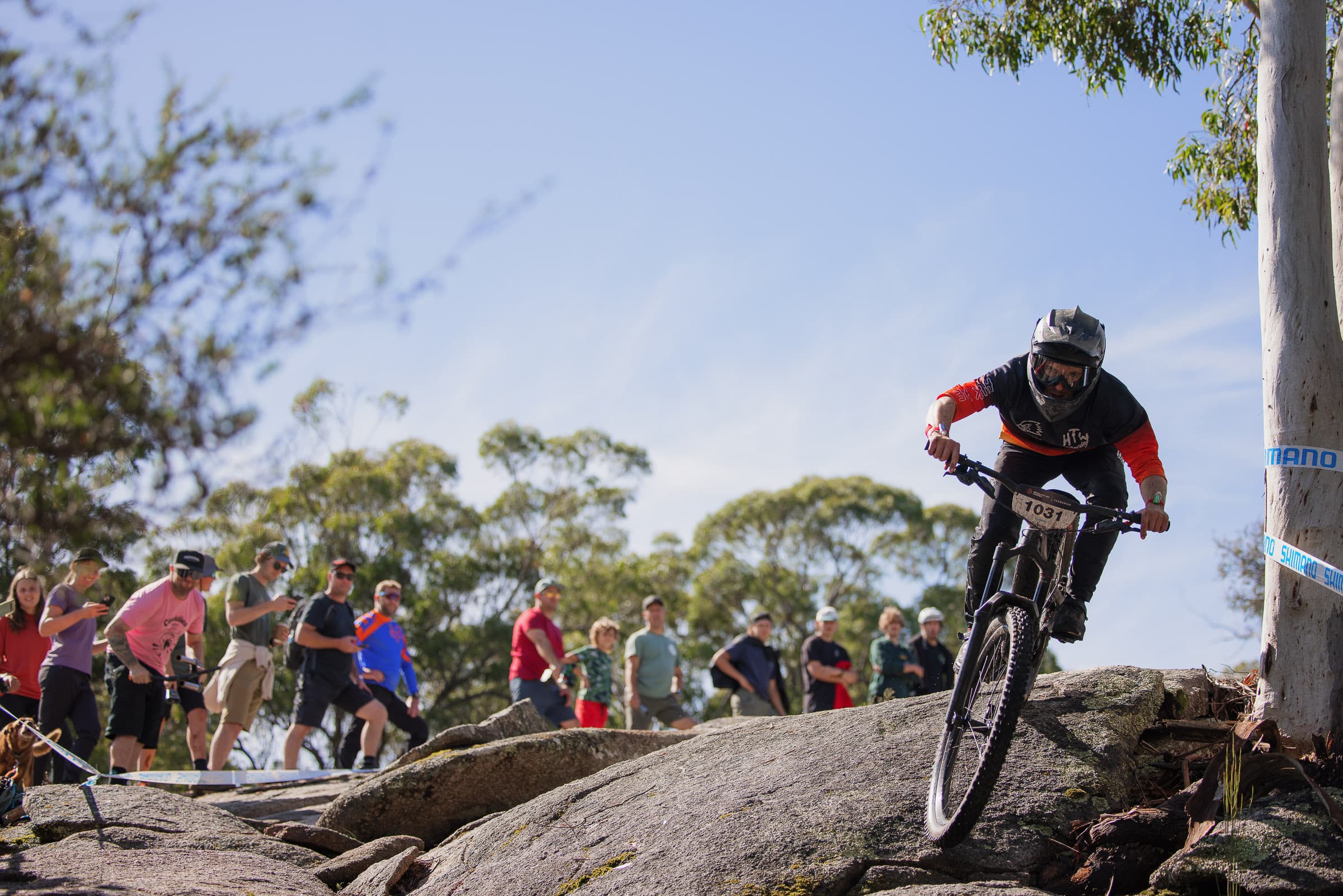 MTB World Series
