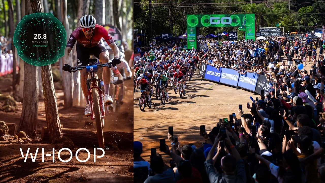 MTB World Series