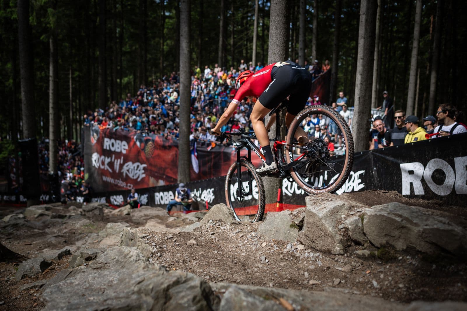 MTB World Series