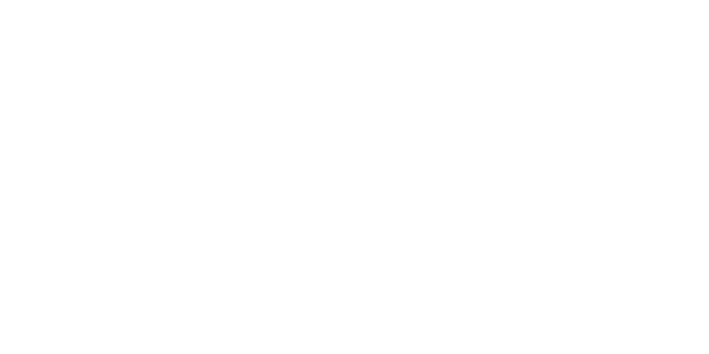 PIVOT FACTORY RACING 