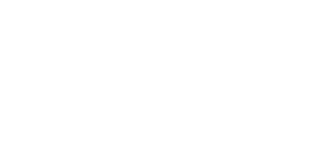 SPECIALIZED FACTORY RACING